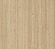 Fineline Plywood: Unidirectional beech fineline